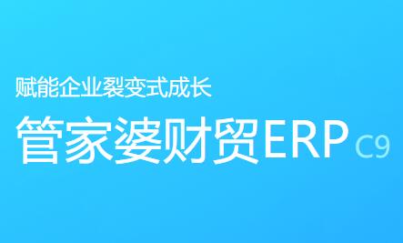 管家婆財貿(mào)ERP C9